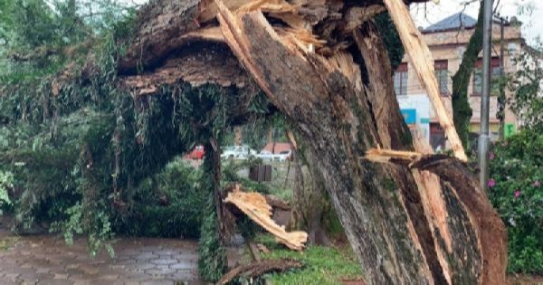 Rajadas de vento de quase 100 km/h causam destruição em Santo Ângelo, RS